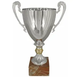 Кубок с надписью на заказ 3027D (4) в интернет-магазине kubki-olimp.ru и cup-olimp.ru Фото 0