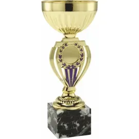 Сувенирный кубок SET.079.72.A в интернет-магазине kubki-olimp.ru и cup-olimp.ru Фото 0