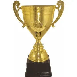 Кубок наградной  РОССИЯ G (7) в интернет-магазине kubki-olimp.ru и cup-olimp.ru Фото 0