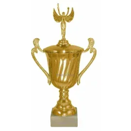 Купить кубок для награждения P141A-G (1) в интернет-магазине kubki-olimp.ru и cup-olimp.ru Фото 0