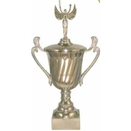 Купить кубок для награждения P141C-S (3) в интернет-магазине kubki-olimp.ru и cup-olimp.ru Фото 0