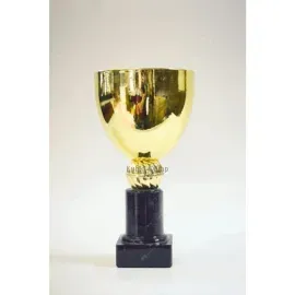 Кубки наградные спортивные CK6004.3 в интернет-магазине kubki-olimp.ru и cup-olimp.ru Фото 0