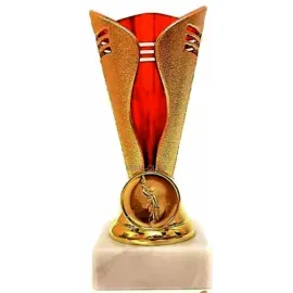 Кубок призовой наградной P20D в интернет-магазине kubki-olimp.ru и cup-olimp.ru Фото 0