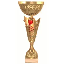 Кубок с надписью на заказ 4141B (2) в интернет-магазине kubki-olimp.ru и cup-olimp.ru Фото 0