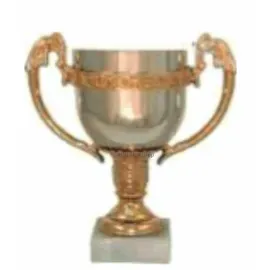 Кубок 3 место P196A-S(1) без крышки в интернет-магазине kubki-olimp.ru и cup-olimp.ru Фото 0