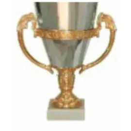 Кубок с гравировкой на заказ и cup-olimp.ru P102A-S(1) без крышки в интернет-магазине kubki-olimp.ru и cup-olimp.ru Фото 0