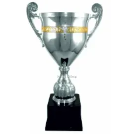 Кубок наградной  1007A (1) в интернет-магазине kubki-olimp.ru и cup-olimp.ru Фото 0