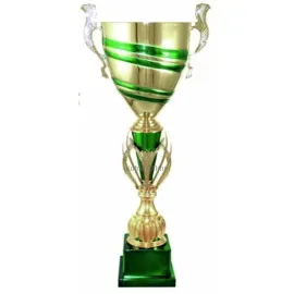 Бюджетный  Кубок 3098E (5) в интернет-магазине kubki-olimp.ru и cup-olimp.ru Фото 0