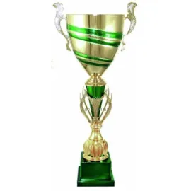 Бюджетный  Кубок 3098B (2) в интернет-магазине kubki-olimp.ru и cup-olimp.ru Фото 0