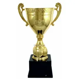 Заказать кубок с надписью РУС1109D (4) в интернет-магазине kubki-olimp.ru и cup-olimp.ru Фото 0