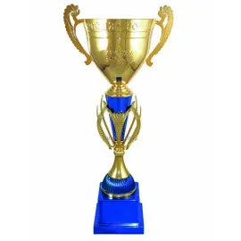 Заказать кубок с гравировкой 3096A (1) в интернет-магазине kubki-olimp.ru и cup-olimp.ru Фото 0