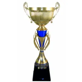 Купить кубок с надписью 3103A (1) в интернет-магазине kubki-olimp.ru и cup-olimp.ru Фото 0