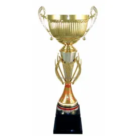 Заказать кубок с надписью 3104A (1) в интернет-магазине kubki-olimp.ru и cup-olimp.ru Фото 0