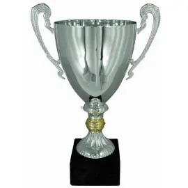 Кубок с гравировкой на заказ и cup-olimp.ru Кубок 3108B (2) в интернет-магазине kubki-olimp.ru и cup-olimp.ru Фото 0
