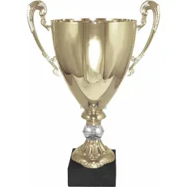 Купить кубок с надписью 3109C (3) в интернет-магазине kubki-olimp.ru и cup-olimp.ru Фото 0