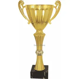 Заказать кубок с надписью в и cup-olimp.ru 3113B (2) недорого в интернет-магазине kubki-olimp.ru и cup-olimp.ru Фото 0