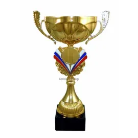Купить подарочный кубок 4048B (2) в интернет-магазине kubki-olimp.ru и cup-olimp.ru Фото 0