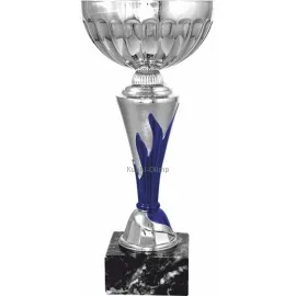 Заказать кубок с надписью в и cup-olimp.ru 7053E-S (5) недорого в интернет-магазине kubki-olimp.ru и cup-olimp.ru Фото 0