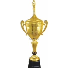 Наградные кубки и cup-olimp.ru купить РУС1104 B (2) с крышкой в интернет-магазине kubki-olimp.ru и cup-olimp.ru Фото 0