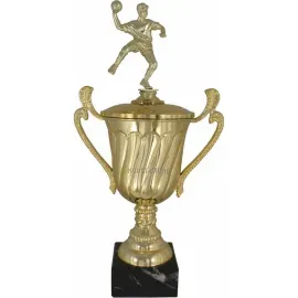 Таблички для кубков P041B-S (2) в интернет-магазине kubki-olimp.ru и cup-olimp.ru Фото 0