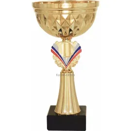Заказать кубок с надписью в и cup-olimp.ru 9128A (1) недорого в интернет-магазине kubki-olimp.ru и cup-olimp.ru Фото 0