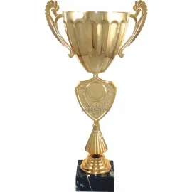 Элитные кубки 3077D (4) с крышкой в интернет-магазине kubki-olimp.ru и cup-olimp.ru Фото 0