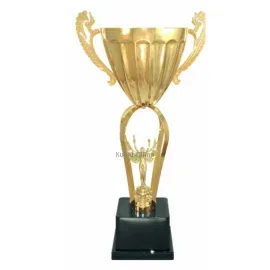 Кубок с надписью на заказ 3123D (4) в интернет-магазине kubki-olimp.ru и cup-olimp.ru Фото 0