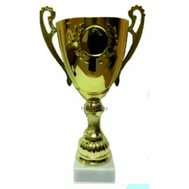 Заказать кубок с гравировкой K581A в интернет-магазине kubki-olimp.ru и cup-olimp.ru Фото 0