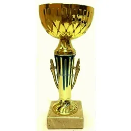 Надпись на кубке К629C в интернет-магазине kubki-olimp.ru и cup-olimp.ru Фото 0