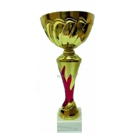 Подарочный кубок с индивидуальной гравировкой K574B в интернет-магазине kubki-olimp.ru и cup-olimp.ru Фото 0