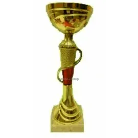 Кубок с гравировкой на заказ и cup-olimp.ru Кубок 670A (1) в интернет-магазине kubki-olimp.ru и cup-olimp.ru Фото 0