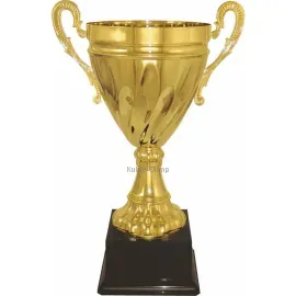Купить кубок D269E в интернет-магазине kubki-olimp.ru и cup-olimp.ru Фото 0