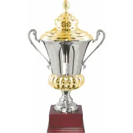 Купить кубок для награждения GL6210.3 в интернет-магазине kubki-olimp.ru и cup-olimp.ru Фото 0