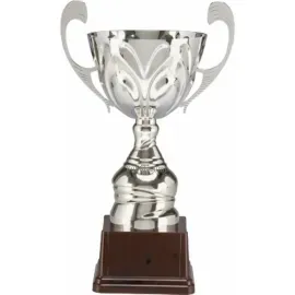 Заказать кубок с гравировкой 3088_1К в интернет-магазине kubki-olimp.ru и cup-olimp.ru Фото 0