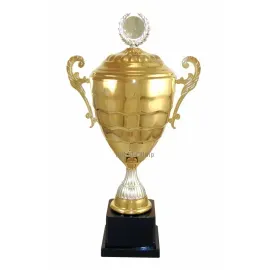 Купить наградной кубок серии D3669C в интернет-магазине kubki-olimp.ru и cup-olimp.ru Фото 0