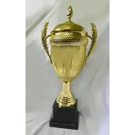 Купить кубок престижный 027 C в интернет-магазине kubki-olimp.ru и cup-olimp.ru Фото 0