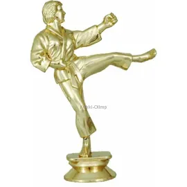 Подарочные кубки и статуэтки каратэ F99W в интернет-магазине kubki-olimp.ru и cup-olimp.ru Фото 0