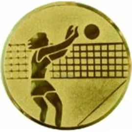 Вкладыш женский D1 A7  в медали спортивные для награждения в интернет-магазине kubki-olimp.ru и cup-olimp.ru Фото 0