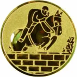 Вкладыш конный D1 A72  в медали спортивные цена в интернет-магазине kubki-olimp.ru и cup-olimp.ru Фото 0