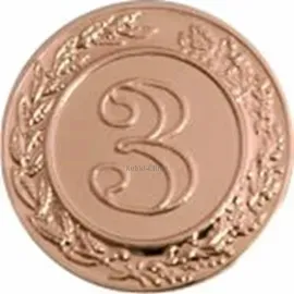 Купить спортивные вкладыш третье место d10 b3 в медали в и cup-olimp.ru в интернет-магазине kubki-olimp.ru и cup-olimp.ru Фото 0