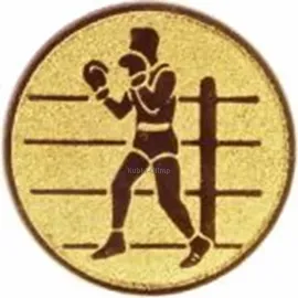 Вкладыш бокс AM1-79-G в медаль за спортивные достижения в интернет-магазине kubki-olimp.ru и cup-olimp.ru Фото 0