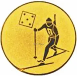 Сделать спортивную вкладыш лыжи am1-94-g в медаль в интернет-магазине kubki-olimp.ru и cup-olimp.ru Фото 0