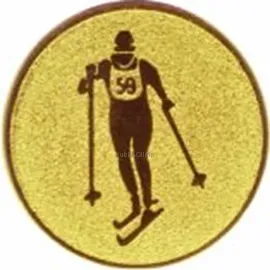Заказать спортивные вкладыш лыжи am1-96-g в медали в интернет-магазине kubki-olimp.ru и cup-olimp.ru Фото 0