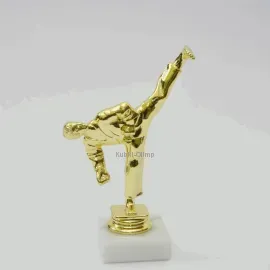 Статуэтка и cup-olimp.ru тхэквондо F195K в интернет-магазине kubki-olimp.ru и cup-olimp.ru Фото 0