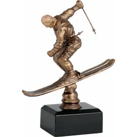 Цена статуэтки лыжи TPFR1852_BRK в интернет-магазине kubki-olimp.ru и cup-olimp.ru Фото 0