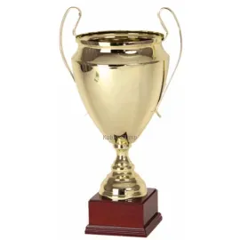 Заказать кубок с надписью R2520D в интернет-магазине kubki-olimp.ru и cup-olimp.ru Фото 0