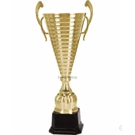 Надпись на кубке R1049C в интернет-магазине kubki-olimp.ru и cup-olimp.ru Фото 0