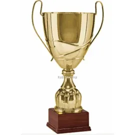 Кубок призовой R2057D в интернет-магазине kubki-olimp.ru и cup-olimp.ru Фото 0
