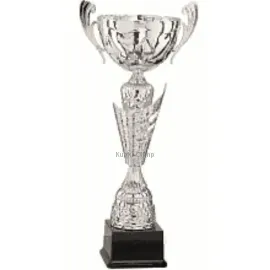 Кубок престижный R4014C в интернет-магазине kubki-olimp.ru и cup-olimp.ru Фото 0