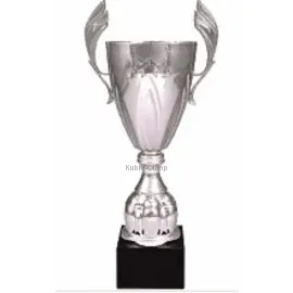 Купить кубок с надписью R4127F в интернет-магазине kubki-olimp.ru и cup-olimp.ru Фото 0